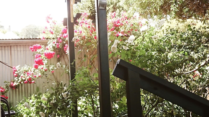 Imagen de los exteriores del Hotel Abelia Cottage Of Daylesford Botanical. Foto 10