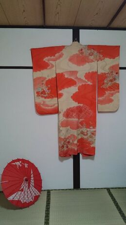 Imagen general del Hotel Abiko Guest House. Foto 9