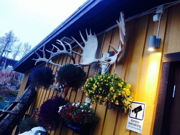 Imagen de los exteriores del Hotel Abisko Guesthouse and Activities. Foto 15