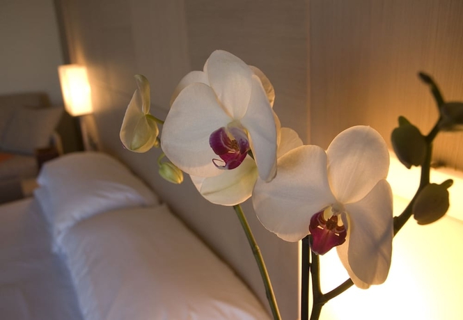 Imagen de la habitación del Hotel Abruzzo Marina. Foto 9