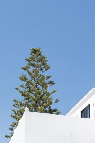 Imagen general del Hotel Absolute Kiotari Resort. Foto 6