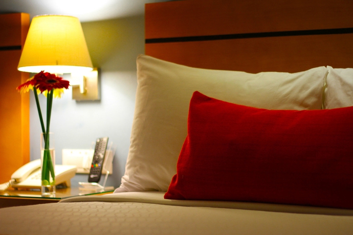 Imagen de la habitación del Hotel Abu. Foto 9