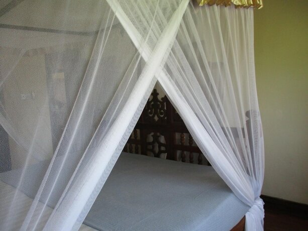 Imagen general del Hotel Abuso Inn. Foto 2