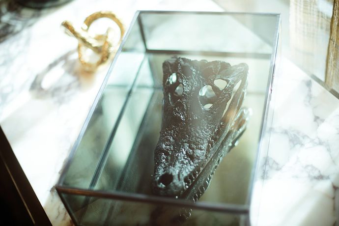 Imagen de los interiores del Hotel Ac By Marriott Gainesville Downtown. Foto 18