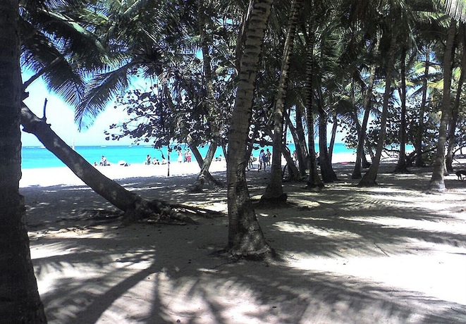 Imagen de los exteriores del Hotel Acacia Boutique. Foto 7