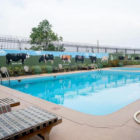 Imagen general del Hotel Acacia Country Inn. Foto 1