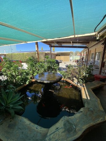 Imagen general del Hotel Acacia Rose Motor Inn. Foto 9