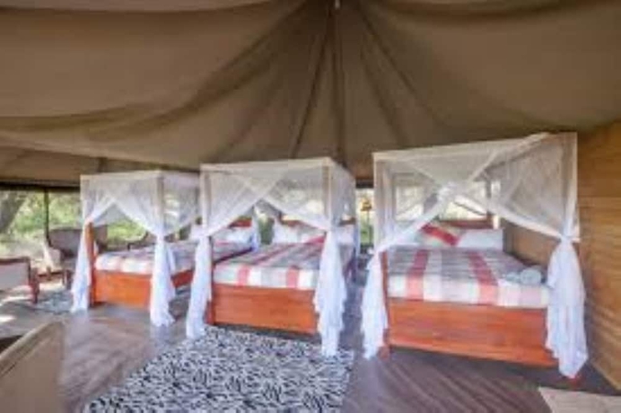 Imagen de la habitación del Hotel Acacia Seronera Luxury Camp. Foto 8