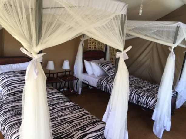 Imagen de la habitación del Hotel Acacia Tarangire Luxury Camp. Foto 11