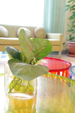 Imagen de los interiores del Hotel Acadia - Astotel. Foto 14