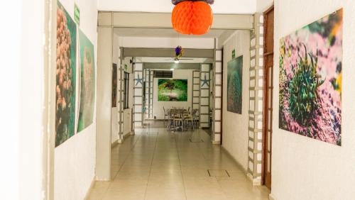 Imagen general del Hotel Acapulco Amor. Foto 4