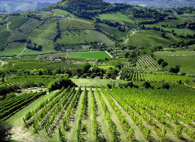 Imagen general del Hotel Accademia, Rimini. Foto 4