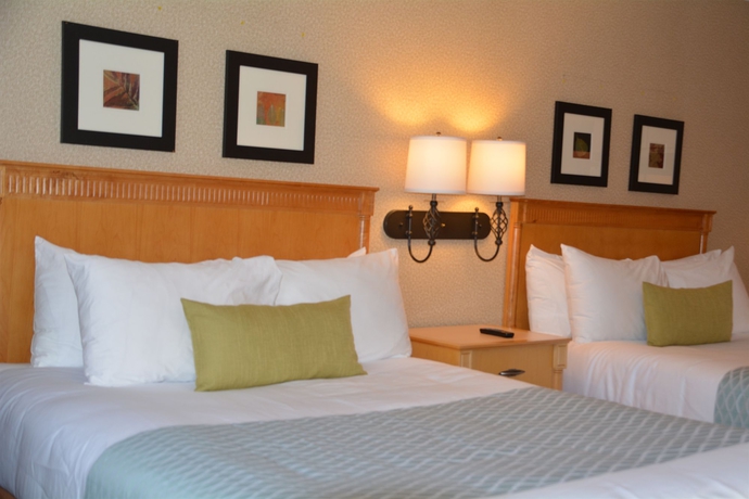 Imagen de la habitación del Hotel Accent Inns Vancouver Airport. Foto 12