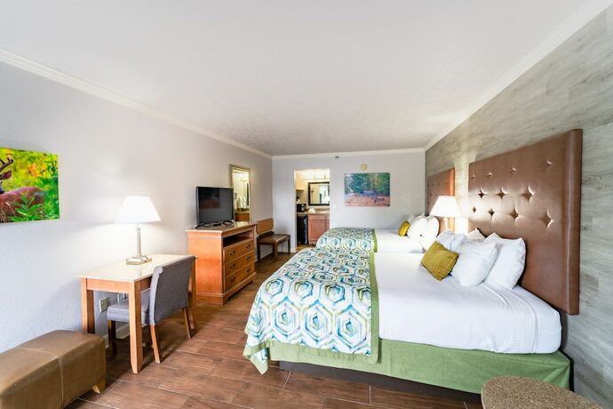 Imagen general del Hotel Accommodation By Willow Brook Lodge. Foto 7