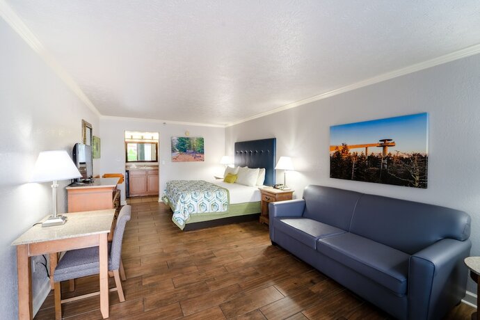 Imagen de la habitación del Hotel Accommodation By Willow Brook Lodge. Foto 17