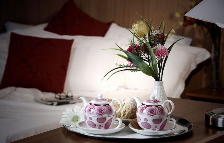 Imagen de la habitación del Hotel Accord Le Rose. Foto 12