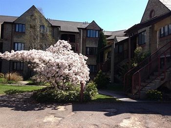 Imagen de la habitación del Hotel Accordia Apartments Chamberlin Court. Foto 3