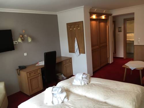 Imagen de la habitación del Hotel Acerina. Foto 2