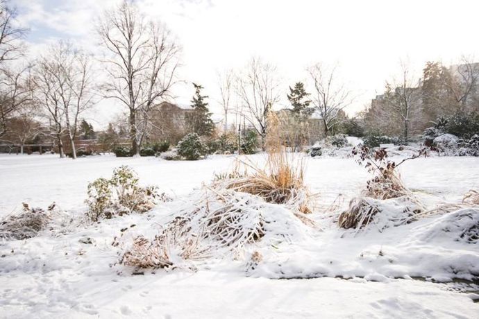 Imagen de los interiores del Hotel Achat Bad Dürkheim. Foto 14