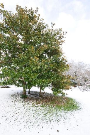 Imagen de los interiores del Hotel Achat Bad Dürkheim. Foto 16