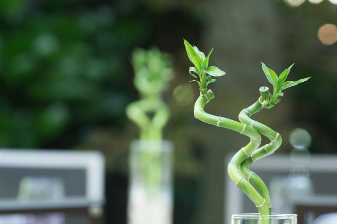 Imagen de los exteriores del Hotel Achesa Homes Zürich. Foto 11