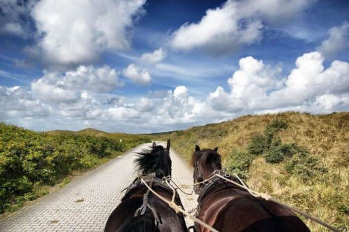 Imagen general del Hotel Achterdiek. Foto 2