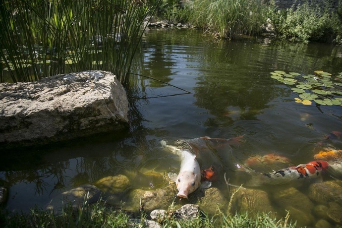 Imagen general del Hotel Achtis Boutique. Foto 8