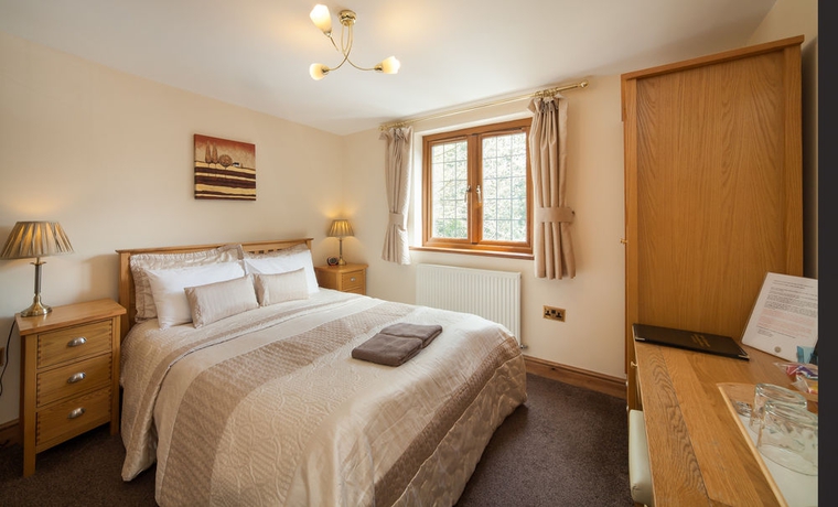 Imagen de la habitación del Hotel Acorns Guest House. Foto 2