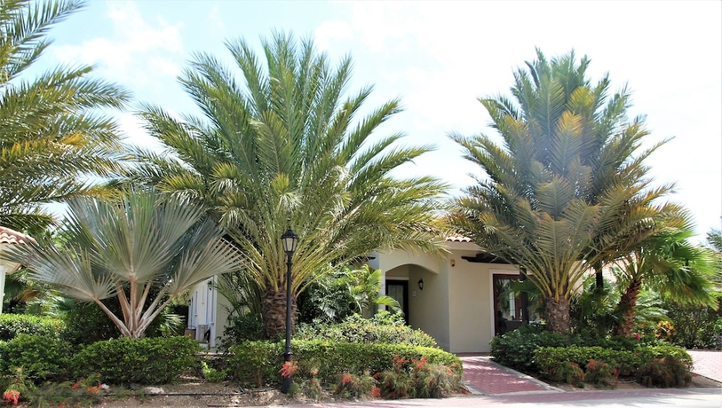 Imagen de la habitación del Hotel Acoya Curacao Resort, Villas and Spa. Foto 14