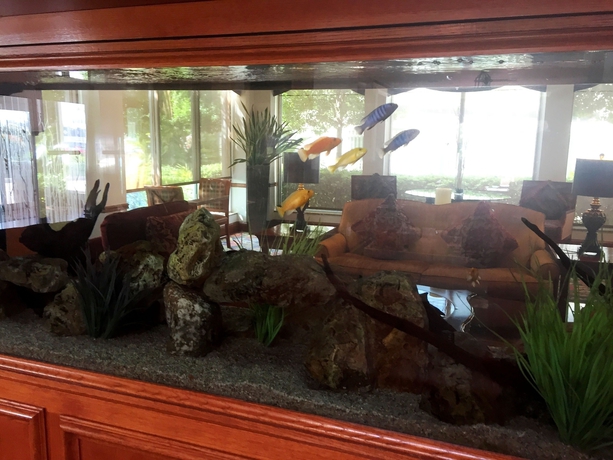 Imagen del bar/restaurante del Hotel Acp Westchase. Foto 2