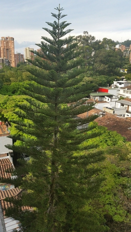 Imagen de los exteriores del Hotel Acqua Medell&iacute;n. Foto 12