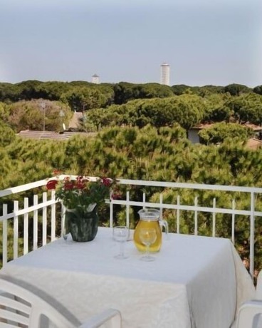 Imagen de los exteriores del Hotel Acquaterme. Foto 10