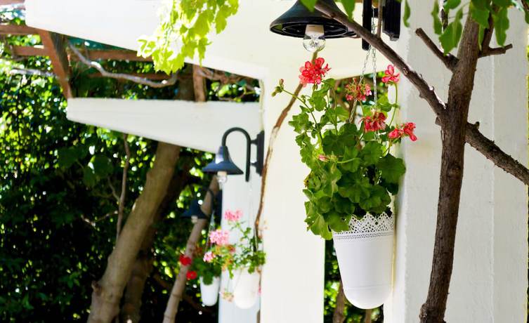 Imagen de los exteriores del Hotel Acropol. Foto 14