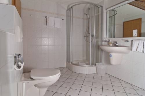 Imagen de la habitación del Hotel Action Forest Aktiv. Foto 7