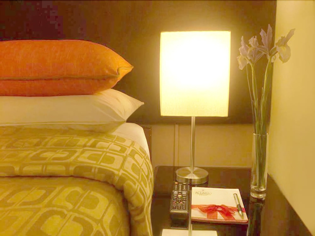 Imagen de la habitación del Hotel Acuario and Suites. Foto 15