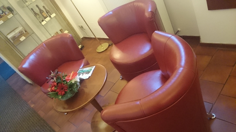 Imagen de los interiores del Hotel Adalbert, Praga. Foto 17