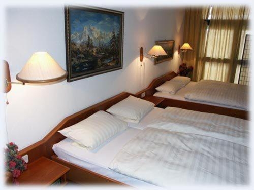 Imagen de la habitación del Hotel Adam, Mühlheim am Main. Foto 10