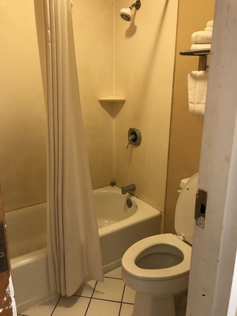 Imagen de la habitación del Hotel Adams Inn. Foto 13