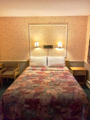 Imagen de la habitación del Hotel Adams Motel. Foto 12