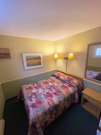 Imagen de la habitación del Hotel Adams Motel. Foto 15