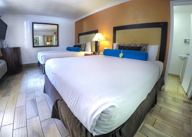 Imagen de la habitación del Hotel Adara Palm Springs. Foto 13