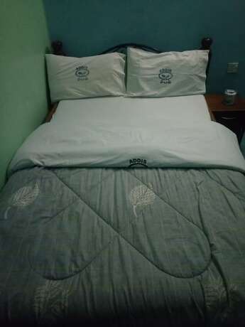 Imagen general del Hotel Addis Lodge. Foto 6