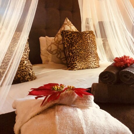 Imagen de la habitación del Hotel Addo African Home. Foto 25