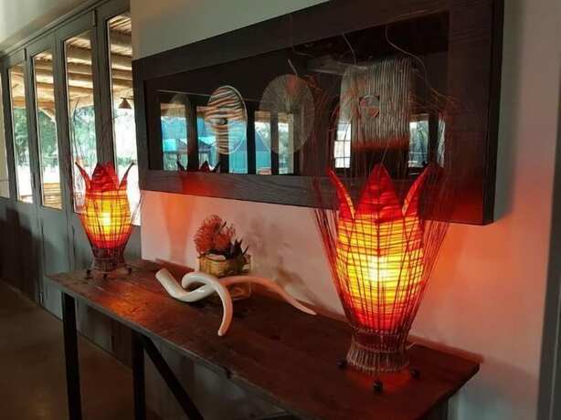 Imagen general del Hotel Addo Wildlife. Foto 5