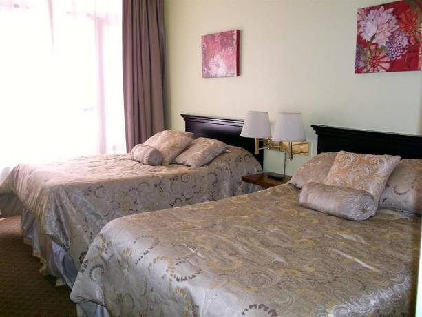 Imagen de la habitación del Hotel Adelaide Hostel. Foto 2
