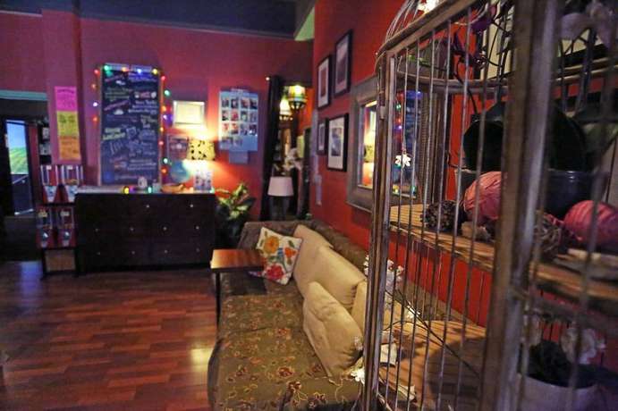 Imagen de los interiores del Hotel Adelaide Hostel. Foto 19