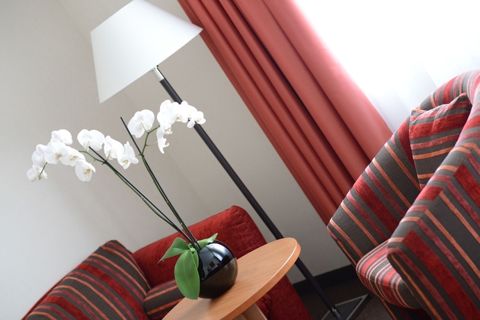 Imagen de la habitación del Hotel Adelante Boutique. Foto 4