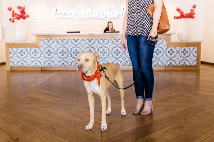 Imagen de los interiores del Hotel Adeline, Scottsdale, A Tribute Portfolio. Foto 16