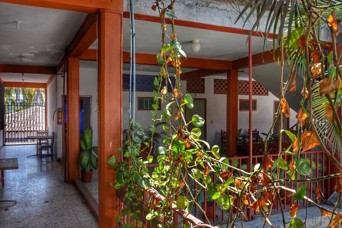 Imagen de los interiores del Hotel Adelita. Foto 18