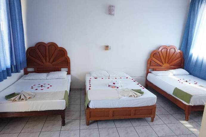 Imagen de la habitación del Hotel Adelita. Foto 13